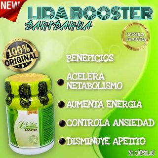 Lida Daidaihua
